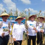Menteri Desa Yandri Susanto Aresiasi LDII dan Petani Blora, Dukung Pengembangan Sorgum Nasional